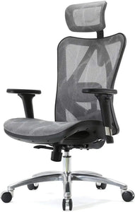 Sihoo M18 Ergonomic Chair