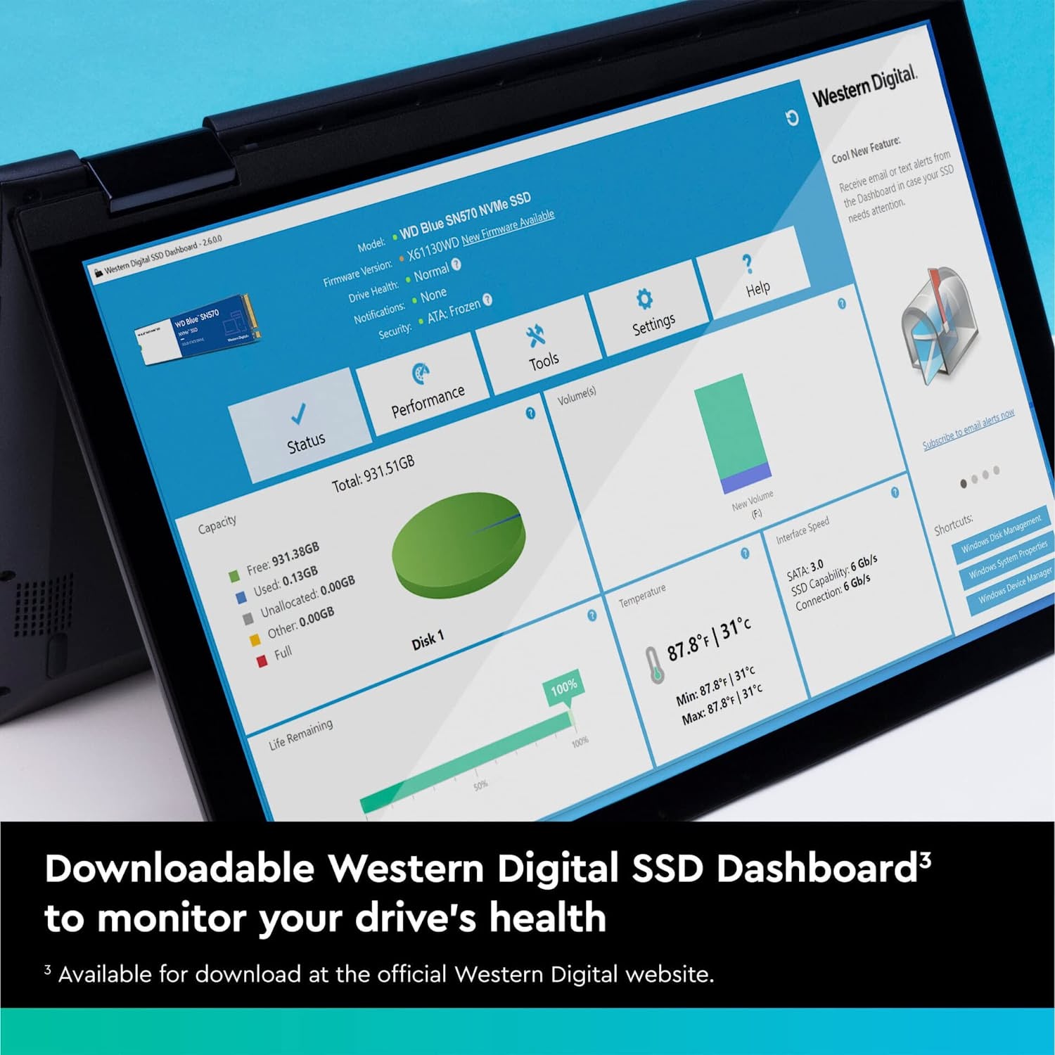 WESTERN DIGITAL BLUE SN570 250GB NVME™ SSD-SOLID STATE DRIVE-Makotek Computers